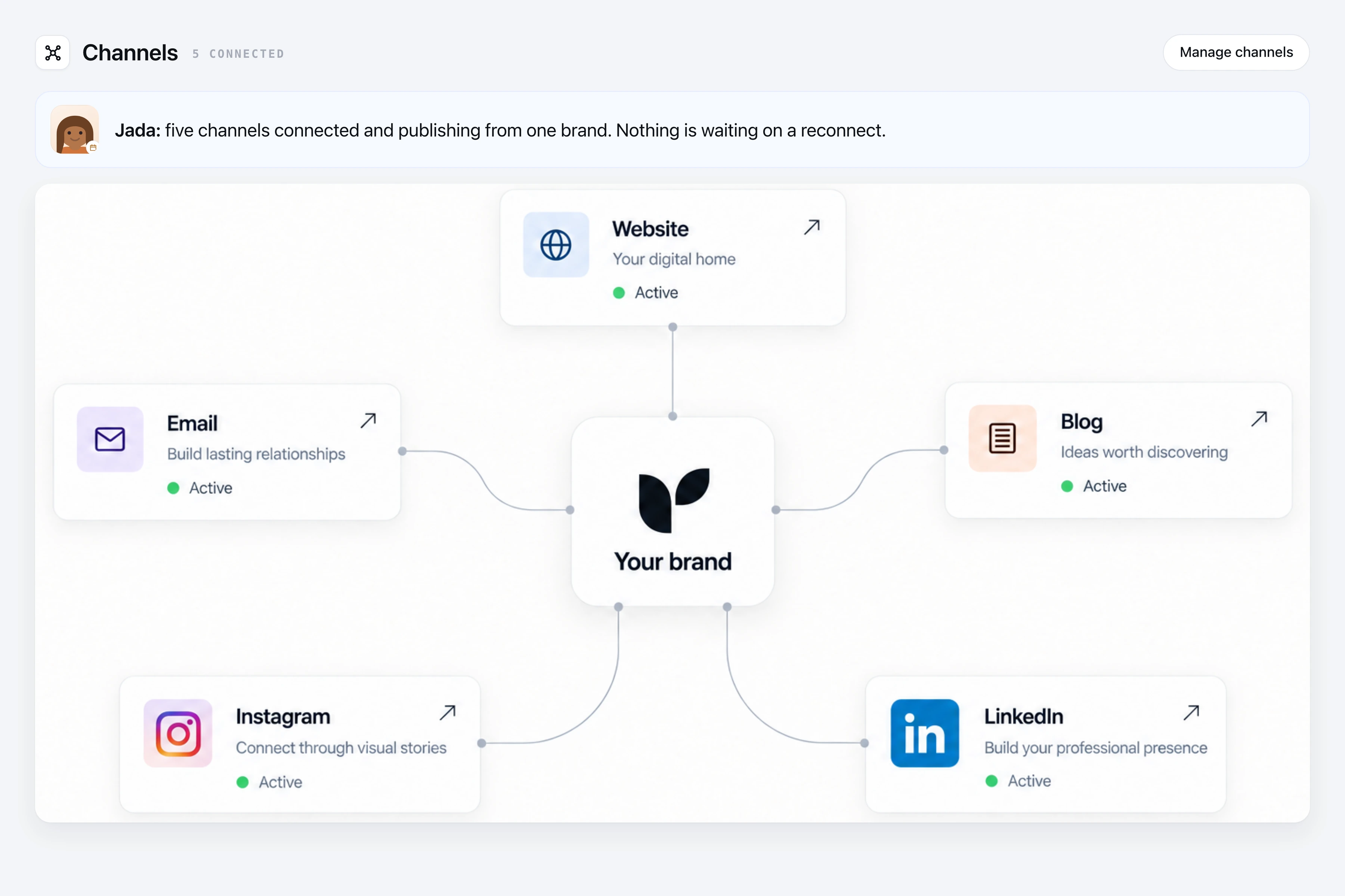 Five channels connected to one brand